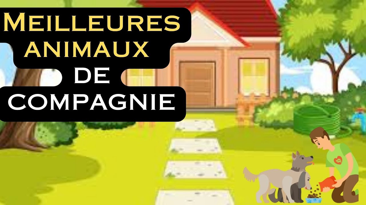 Chats, Chiens, Lapins et Perroquets : Nos Compagnons les Plus Doux # le chien Labrador