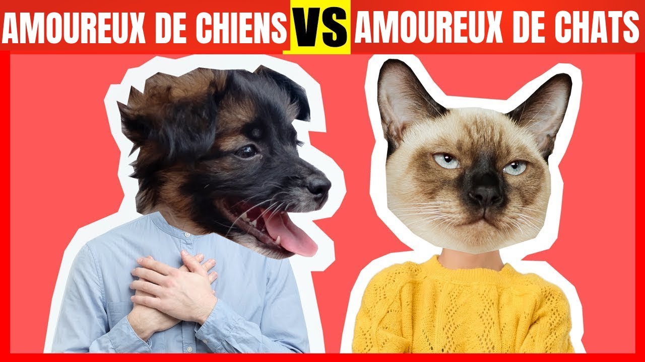 Différences de personnalité entre les amoureux de chiens et de chats | Psychologie