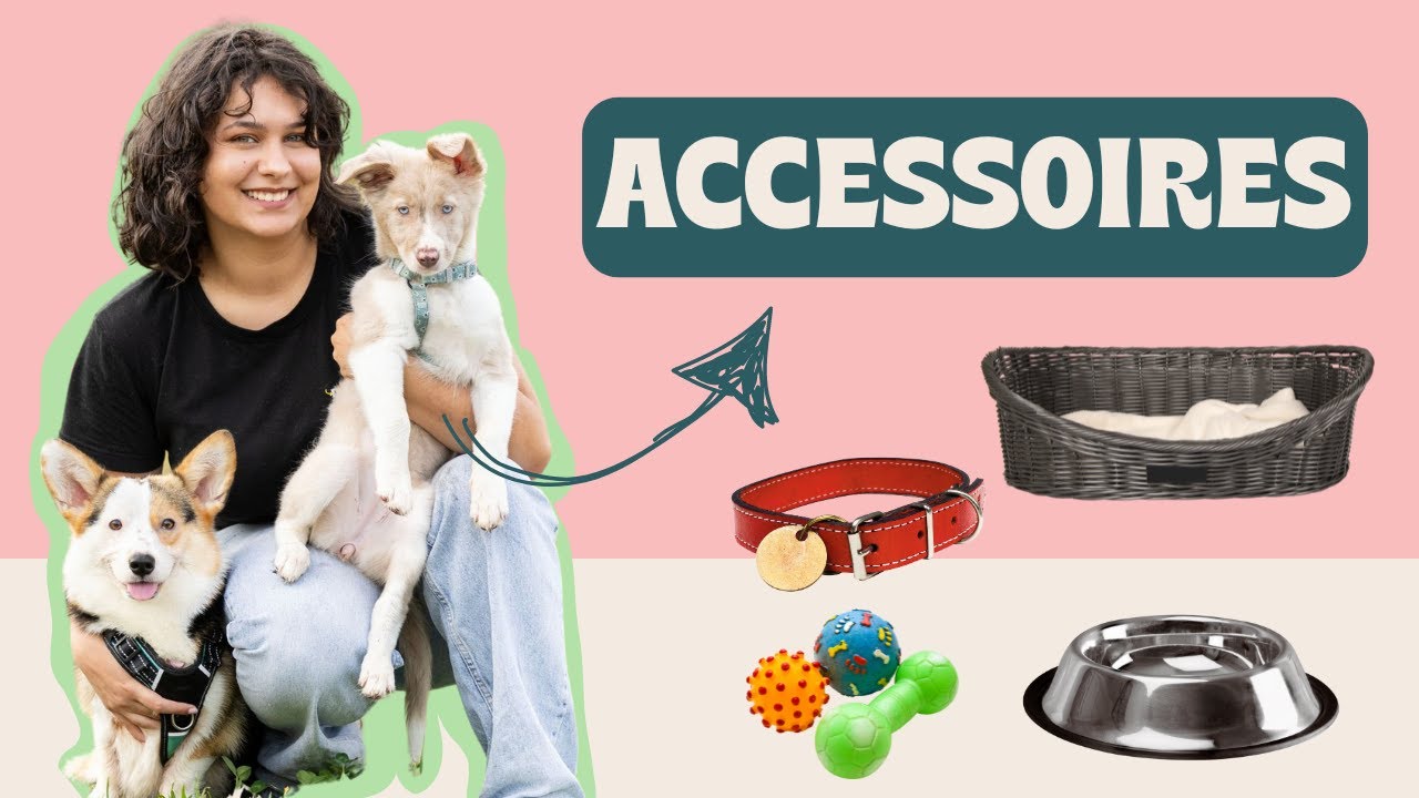 LES INDISPENSABLES quand on accueille son CHIOT !