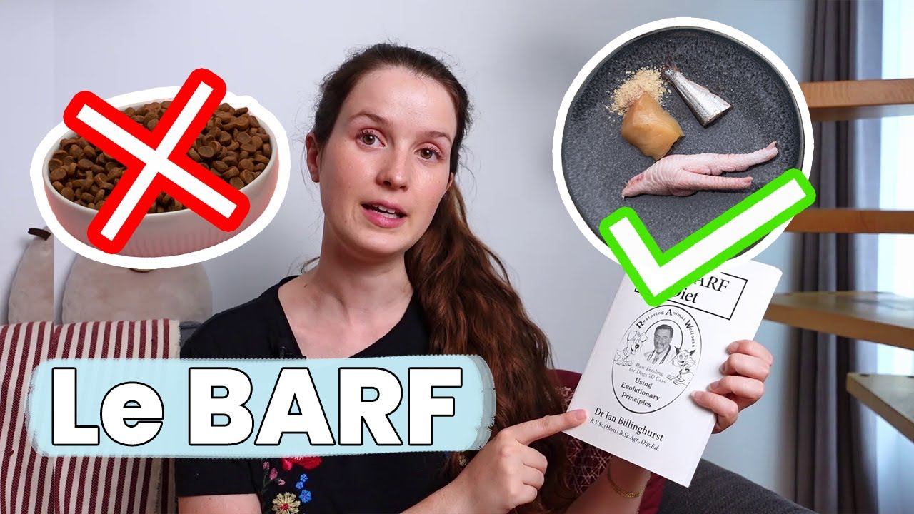Le BARF pour chats : Alternative aux croquettes ou fausse bonne idée ?