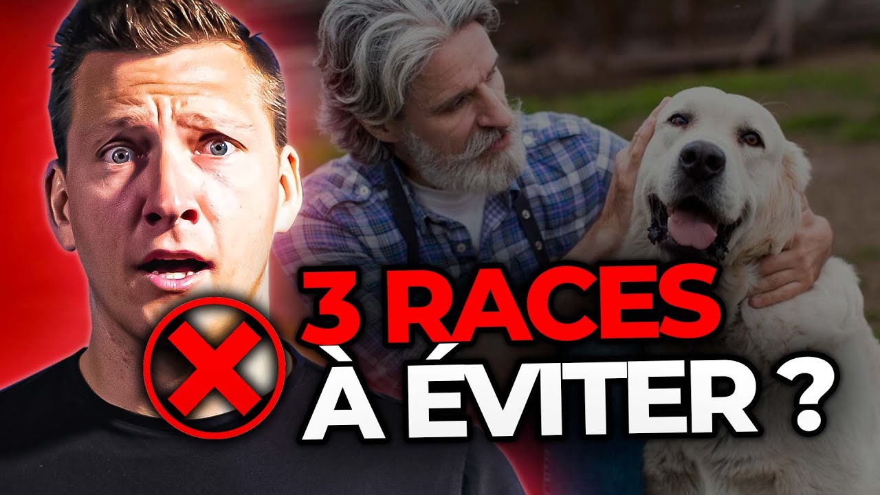 ❌ Les 3 pires races de chien pour les personnes âgées !