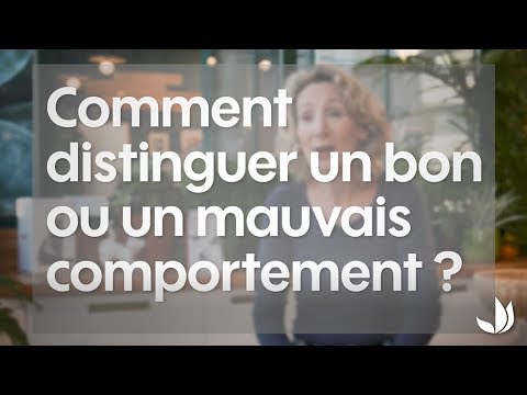 Comment interpréter le comportement de son chat ? - Truffaut
