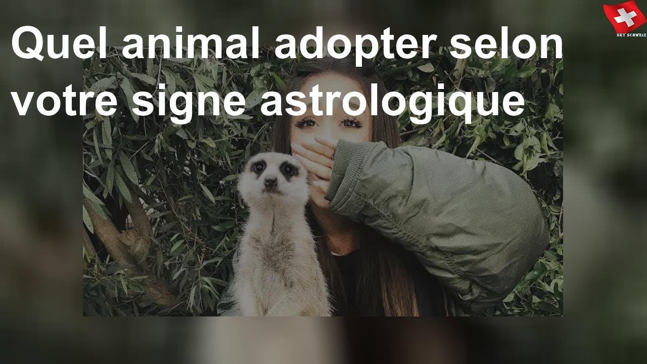 Quel animal adopter selon votre signe astrologique