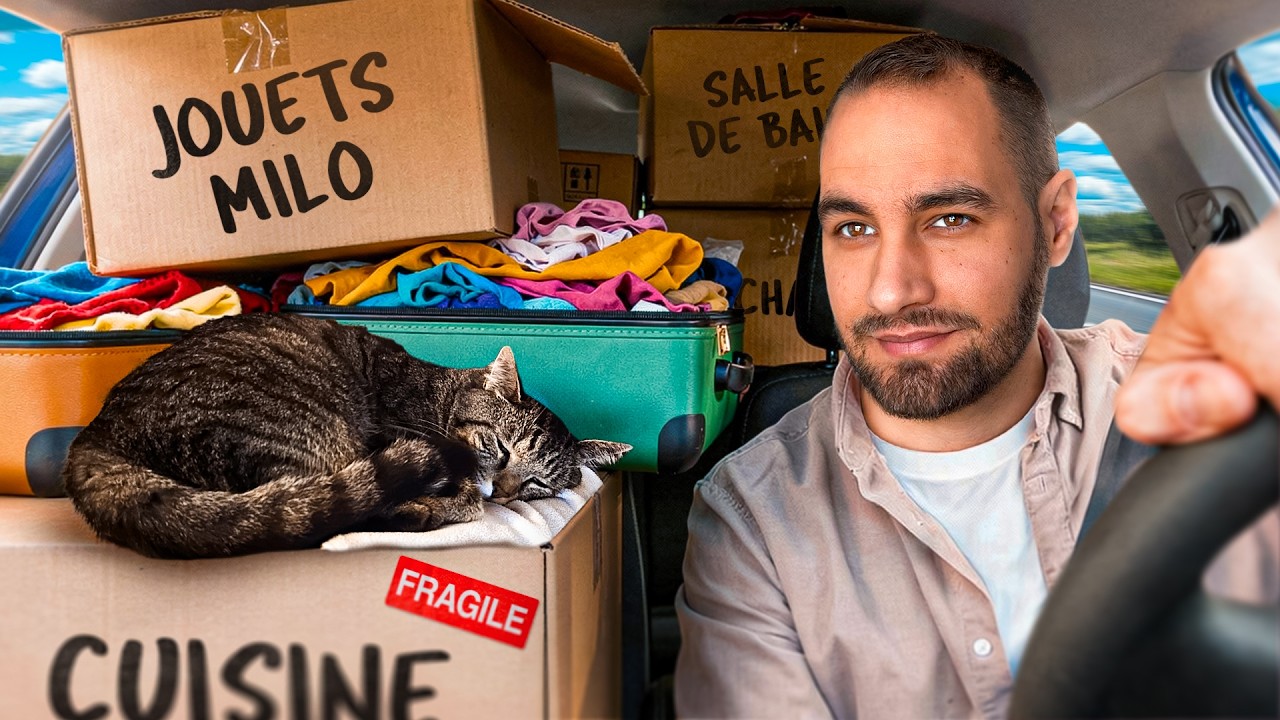 DÉMÉNAGER AVEC UN CHAT : conseils, stress et imprévus 📦😅