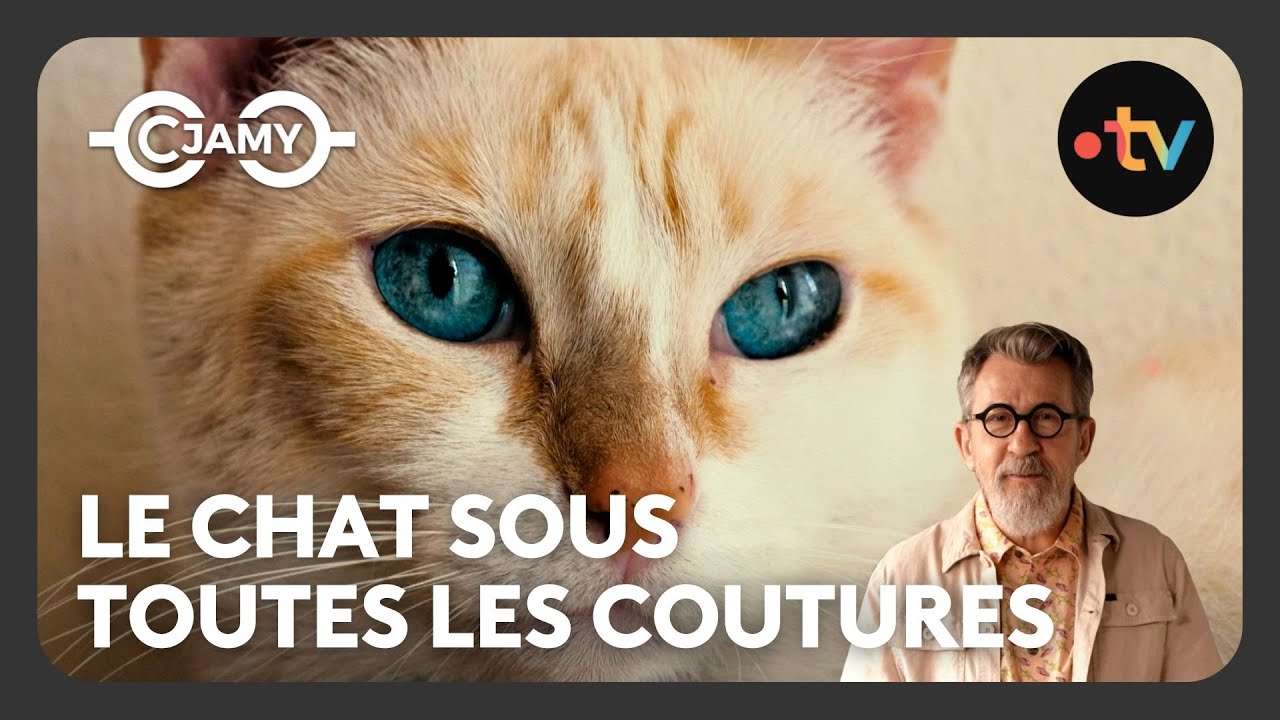 Chats : les rois de la maison ! - Le monde merveilleux des animaux terrestres - C Jamy