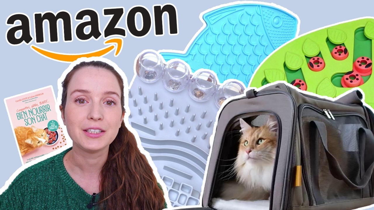 Les 10 meilleurs accessoires pour chats sur Amazon !