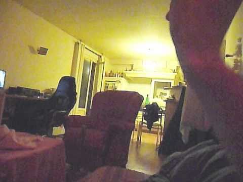 chat qui rapporte la balle