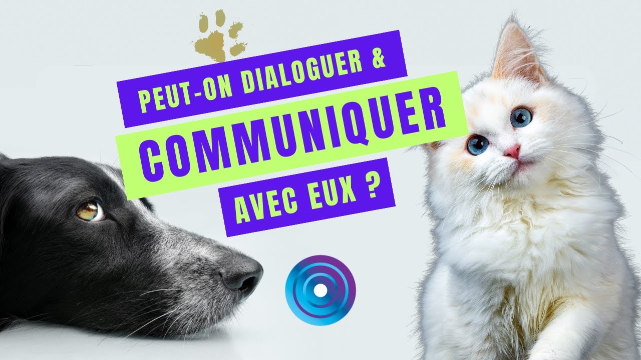 Chiens, chats... Les messages cachés des animaux