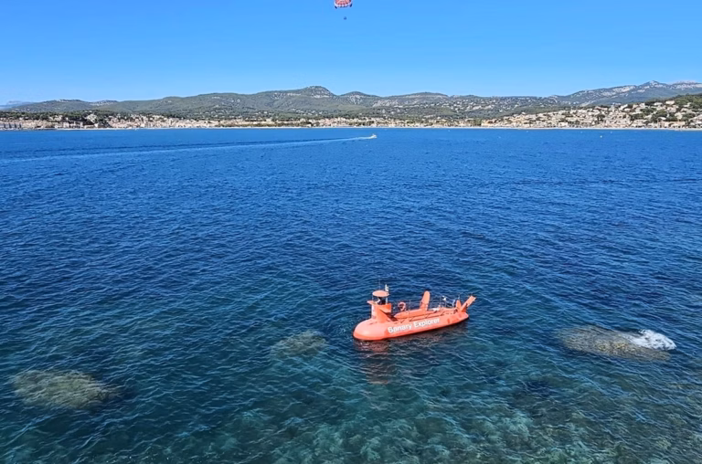 Plage Baleine : accès, avis et infos pratiques