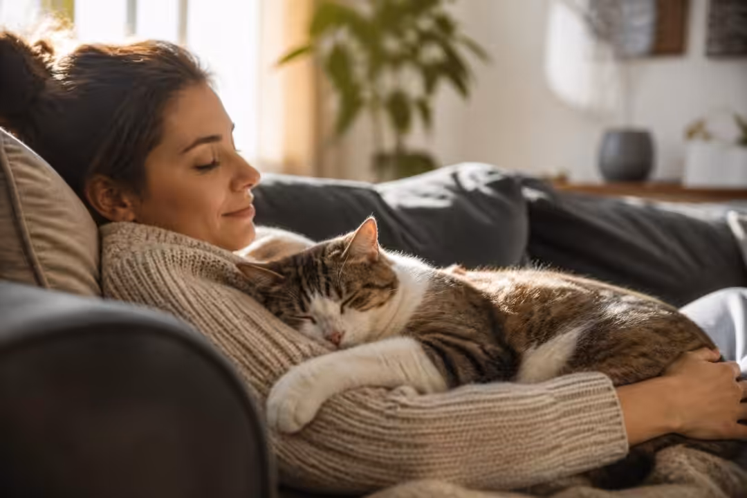 découvrez pourquoi votre chat dort tout le temps sur vous et ce que ce comportement révèle sur son affection et sa confiance envers vous.