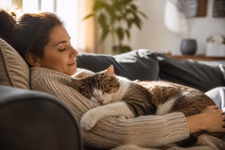 découvrez pourquoi votre chat dort tout le temps sur vous et ce que ce comportement révèle sur son affection et sa confiance envers vous.