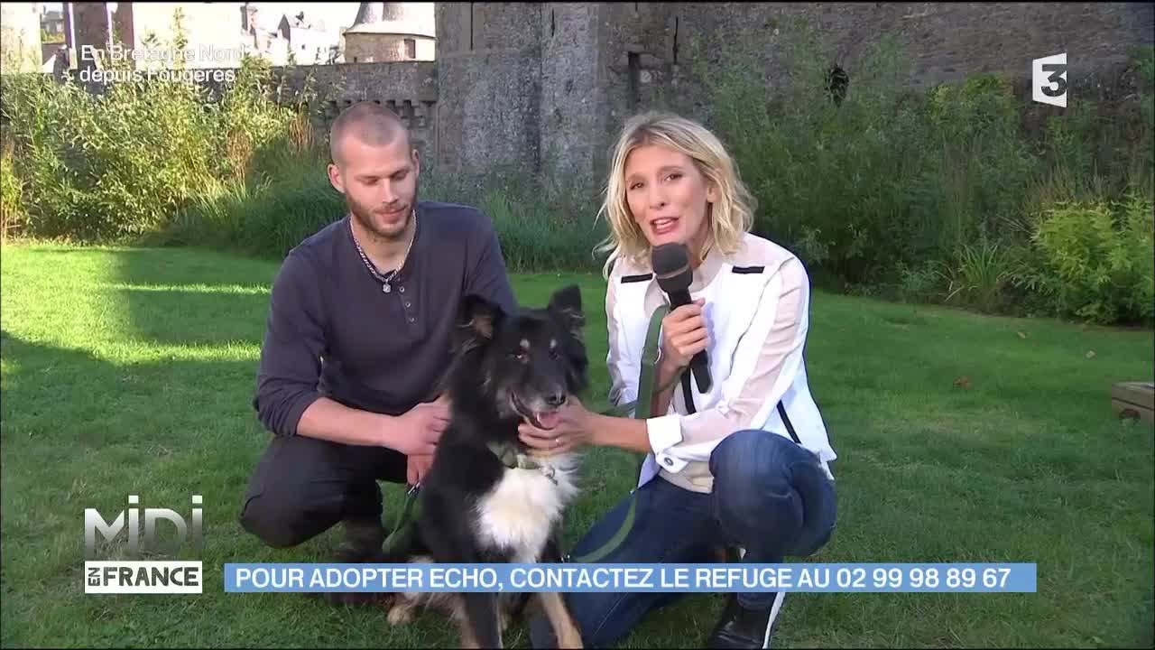 Adoption d'Echo et de deux chatons
